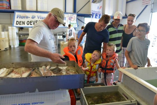 Oevers Vistival in andere handen