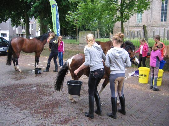 Biomiddag met PPP en Peter en Lotte Karsten bij 't Warme Nest