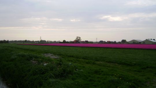 Locatie 't Veld-Noord mogelijk toch weer in beeld