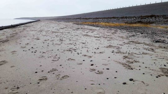 Wieringen aan zee, met zandstrand