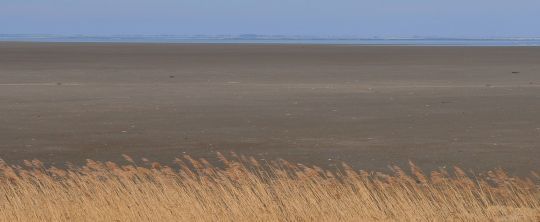 Wieringen aan zee, met zandstrand - Afbeelding 6