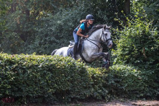 Dijkgatboscross is terug in het bos