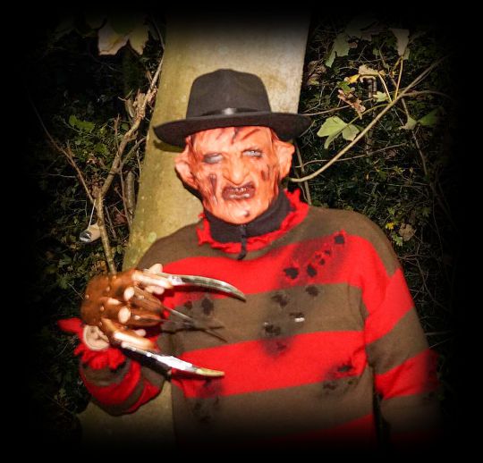 Halloween als vanouds griezelig gezellig, je wordt er eng van - Afbeelding 2