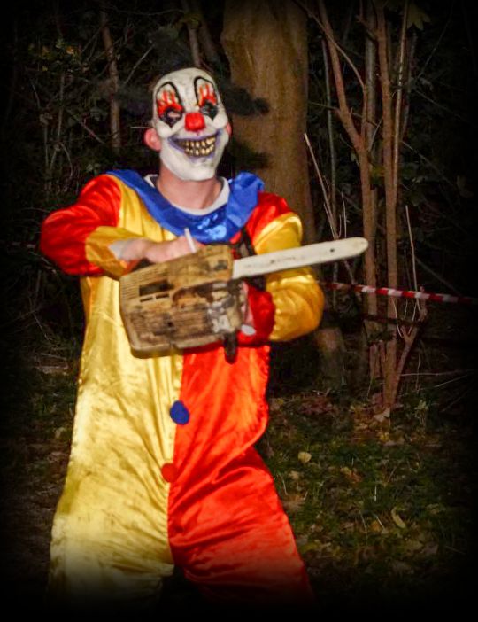 Halloween als vanouds griezelig gezellig, je wordt er eng van - Afbeelding 9