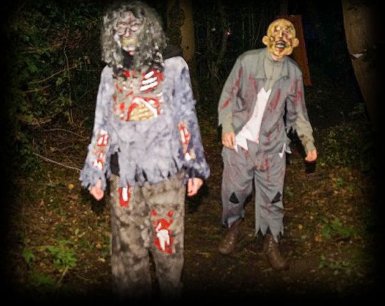 Halloween als vanouds griezelig gezellig, je wordt er eng van - Afbeelding 16