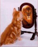 Cursusworkshop reanimatie hond of kat