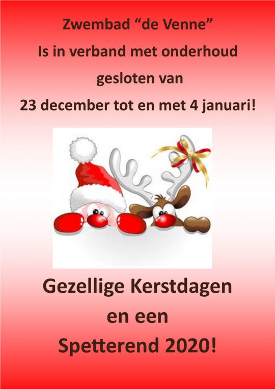 Kerstdisco in Zwembad De Venne - Afbeelding 2