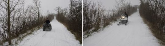 Winterinvasie in Hippolytushoef en meer Wieringerwinternieuws - Afbeelding 2