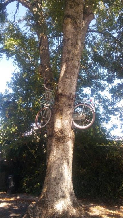 Fiets kwijt? Kijk ook eens omhoog