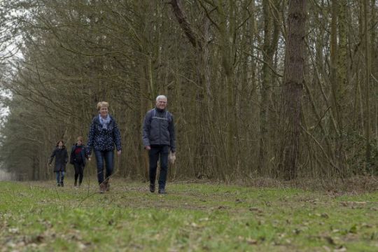 Op stap in Hollands Kroon - Afbeelding 60