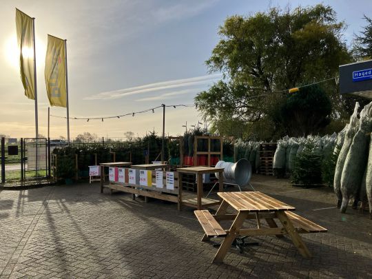 Praxis zorgt voor een witte kerst, nu volop Kerstbomen te koop - Afbeelding 2