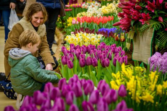 Op stap in Hollands Kroon - Afbeelding 75