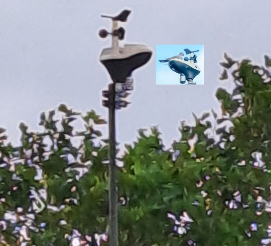 Nest van duif gesneuveld