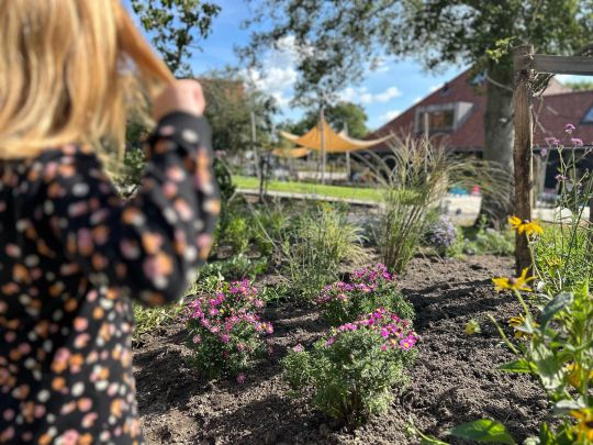 Kinderopvang Hollands Kroon in volle bloei dankzij Bloeiers - Afbeelding 3