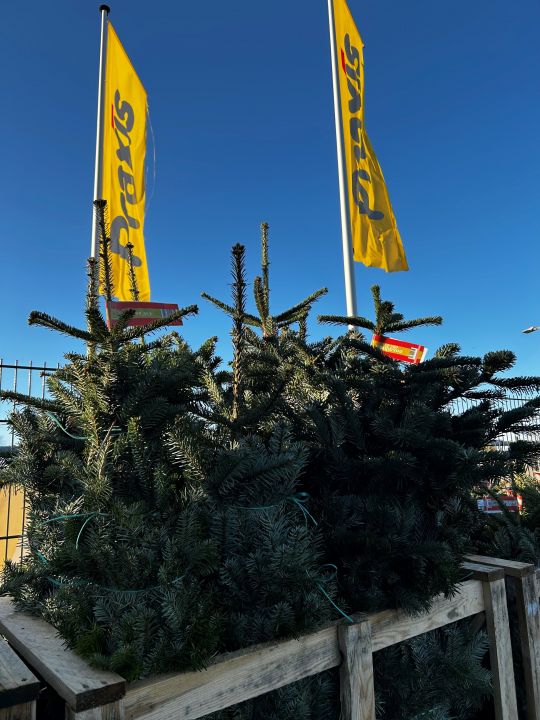 Het is december, Kerstbomen te kust en te keur bij PRAXIS - Afbeelding 2