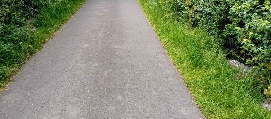 Wandelpaden naast de Nesseweg - Afbeelding 2