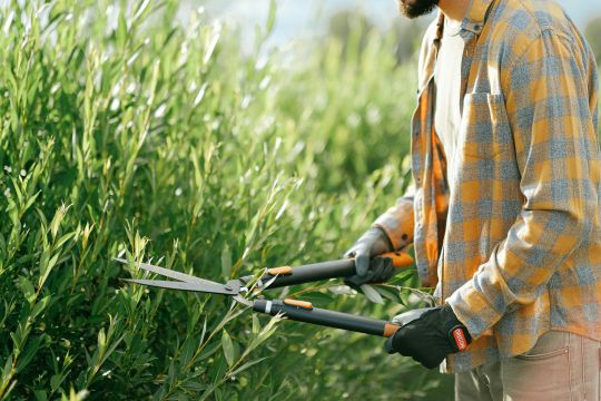 Tuinvrijwilligers gezocht in Hollands Kroon