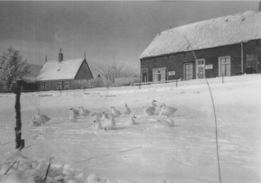 Winter op De Haukes - Klik op de foto voor een grotere versie en meer informatie...