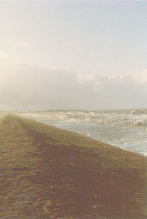 Storm aan de Bierdijk 1981 - Klik op de foto voor een grotere versie en meer informatie...
